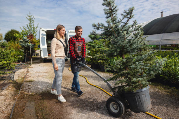 Tree and Shrub Care in Moores Mill, AL